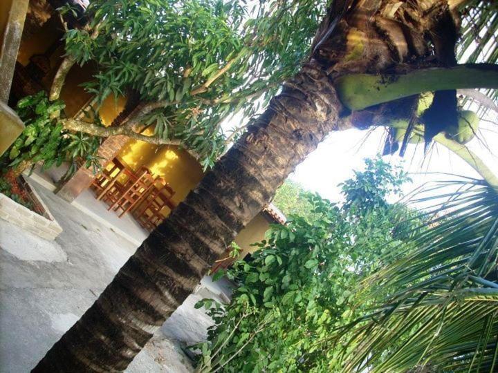 Pousada Agua De Coco Prado Exteriér fotografie